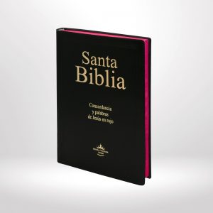 Biblia letra gigante rvr1960