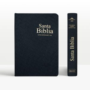 Biblia 19 Puntos en Vinil