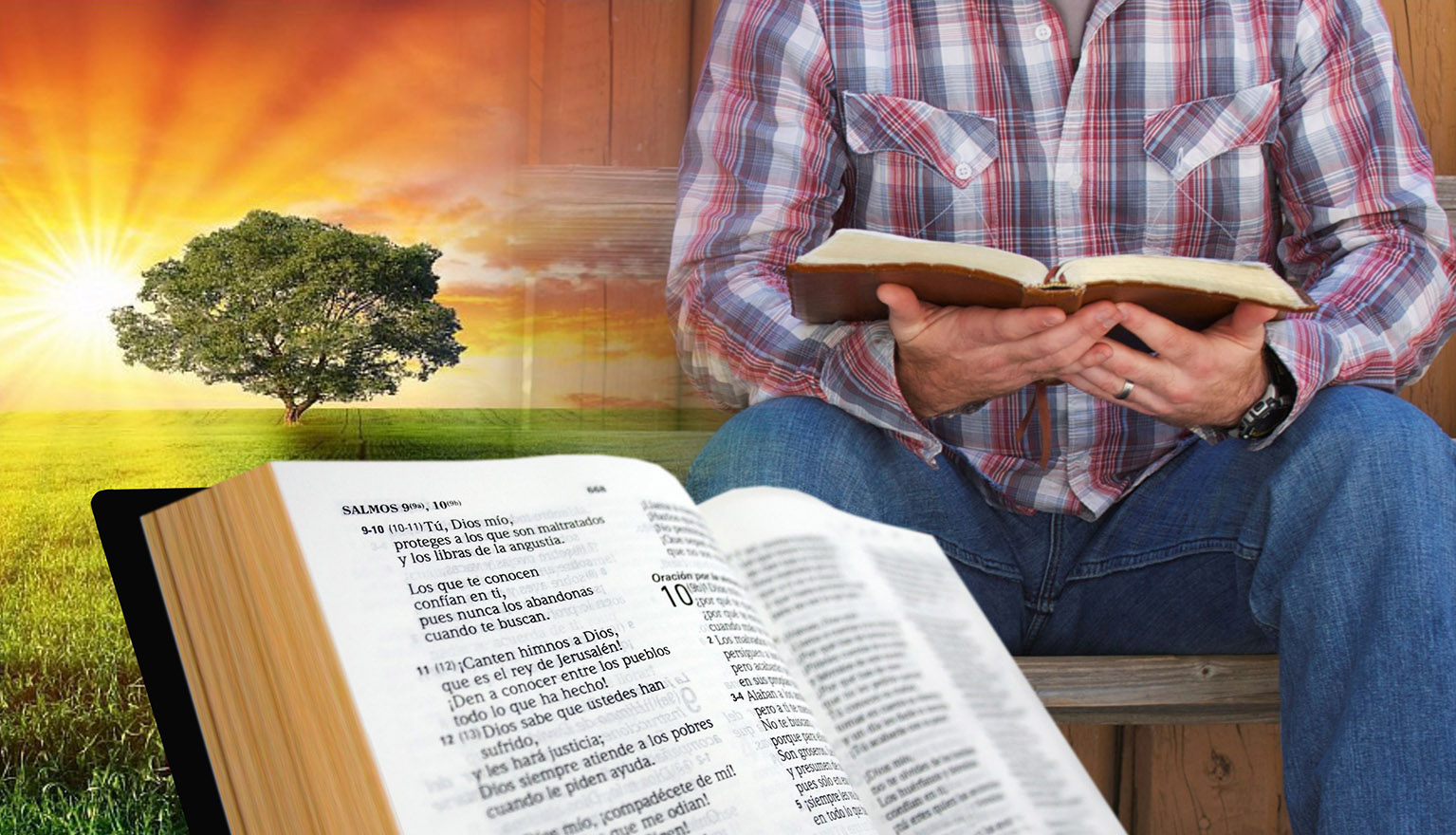 Cómo y por qué memorizar la Biblia